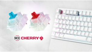 CHERRY MX RGB 开关