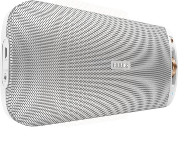 wireless portable speaker