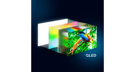 4K QLED pour des images éclatantes et couleurs Quantum Dot