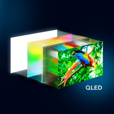Defined picture sharpness and vibrancy with 4K QLED