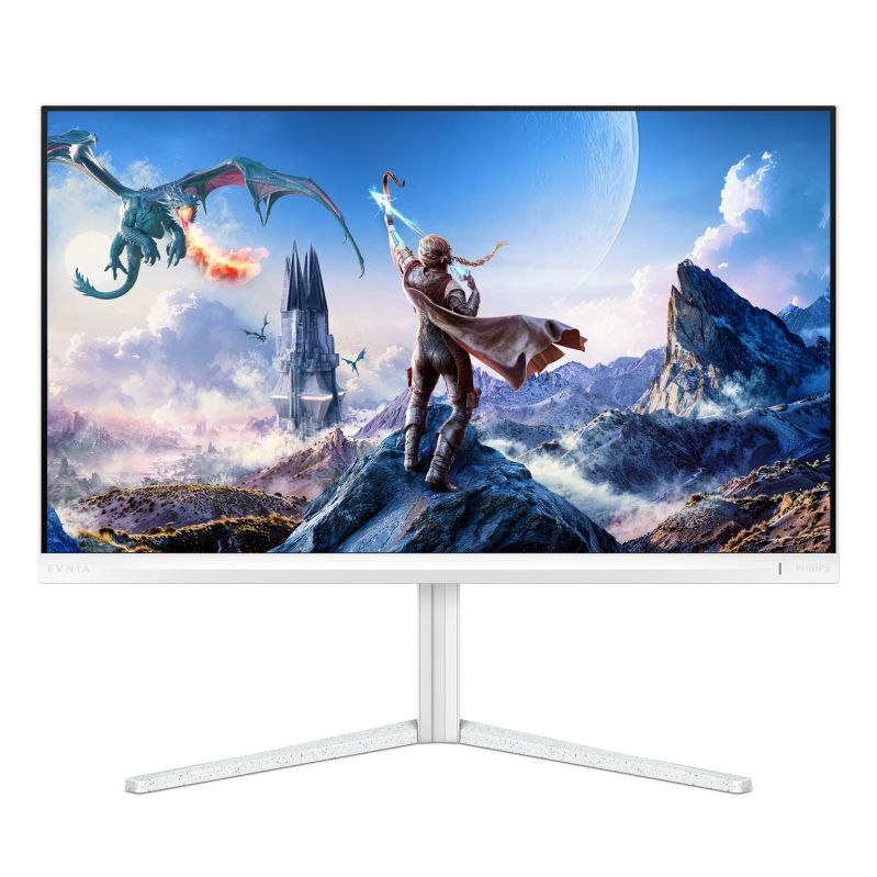 Fast IPS Gaming monitor