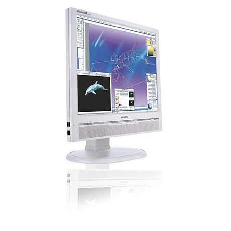 190P6EG/00 Brilliance LCD monitor