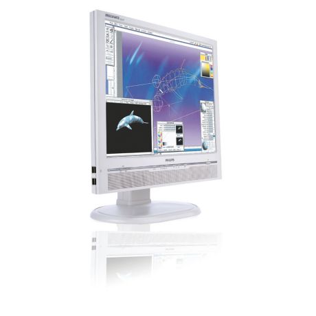 190P6EG/00  Brilliance 190P6EG LCD monitor