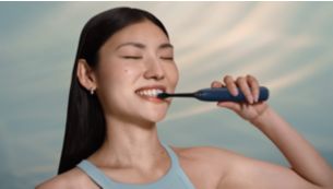 Guided brushing sessions