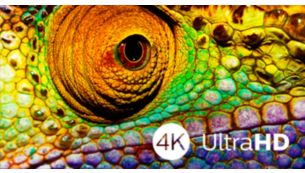La belleza de la TV Ultra HD 4K se disfruta en todos los detalles