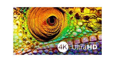The beauty of 4K UltraHD TV is in savoring every detail