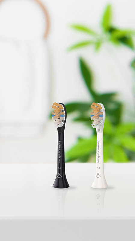 Philips Sonicare All-in-One brush heads standing on a countertop