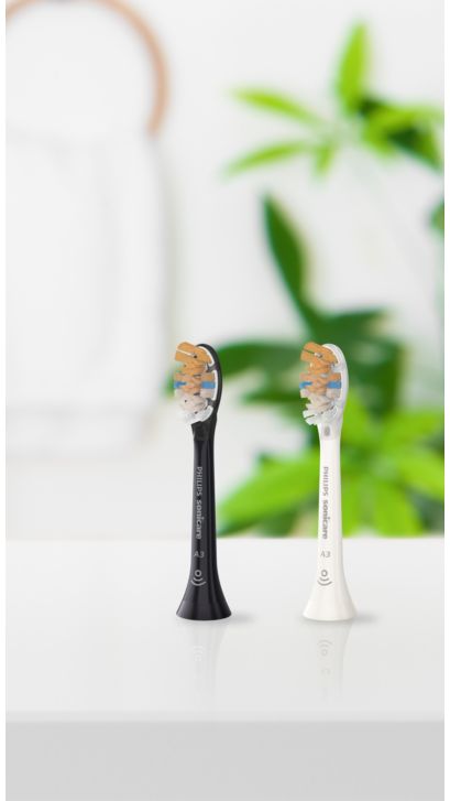 Philips Sonicare All-in-One brush heads standing on a countertop