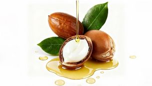 全缘叶澳洲坚果籽油