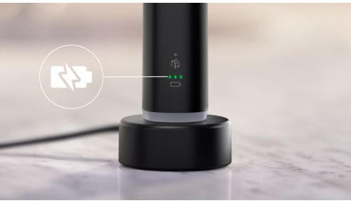 Hasta 3 semanas de cepillado con una carga completa