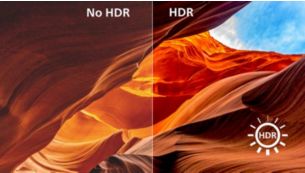 4K High-Definition Resolution for ultra-sharp images