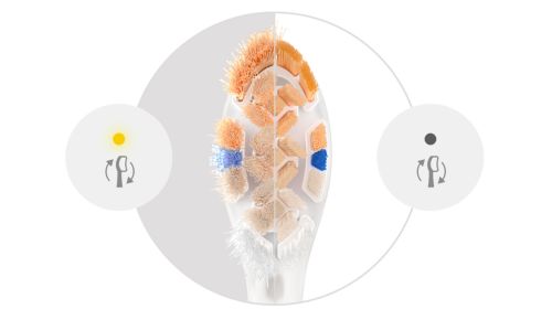 Fortsæt med at børste på den bedste måde med påmindelse om udskiftning af børstehovedet