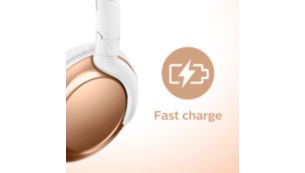 Five-minute Fast Charge technology