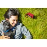 Tamaño pequeño, graves potentes