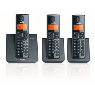 Cordless telephone