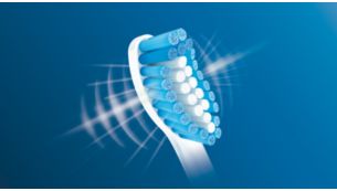 Design innovant des brins éliminant la plaque dentaire en douceur