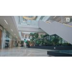 Obožujte, kar slišite. Obožujte njihov videz