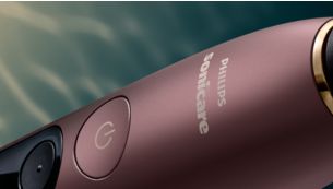 Elevate your brushing experience