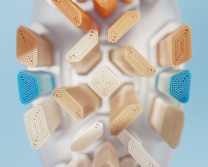 Top close up view of Philips Sonicare All-in-One brush head