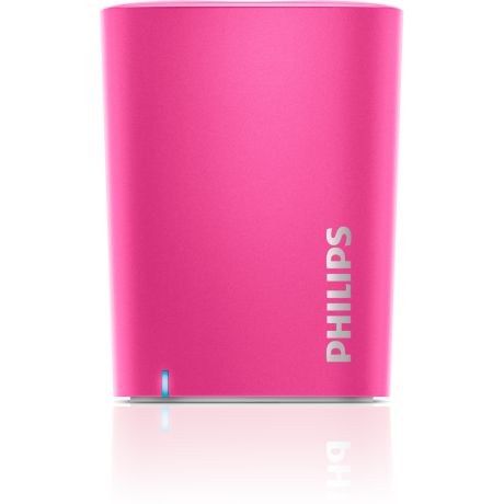 BT100P/37  wireless portable speaker