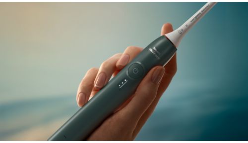 Vælg din ideelle børstning