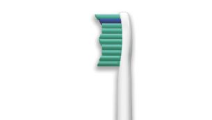 ProResults Standard-Bürstenkopf