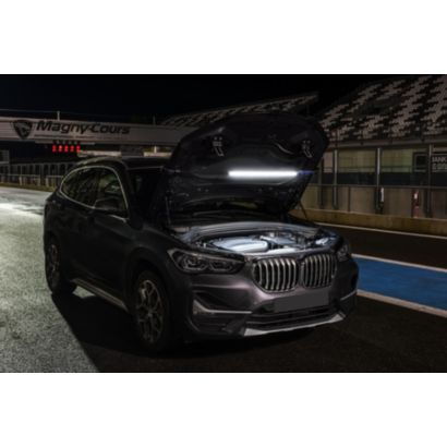 Philips Professional