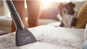 Furniture tool removes pet hair with ease