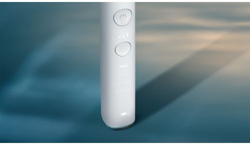 Vælg din ideelle børstning