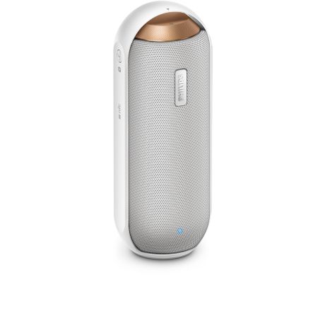 BT6000W/12  BT6000W wireless portable speaker