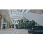 Обичайте това, което чувате. Наслаждавайте се на вида им