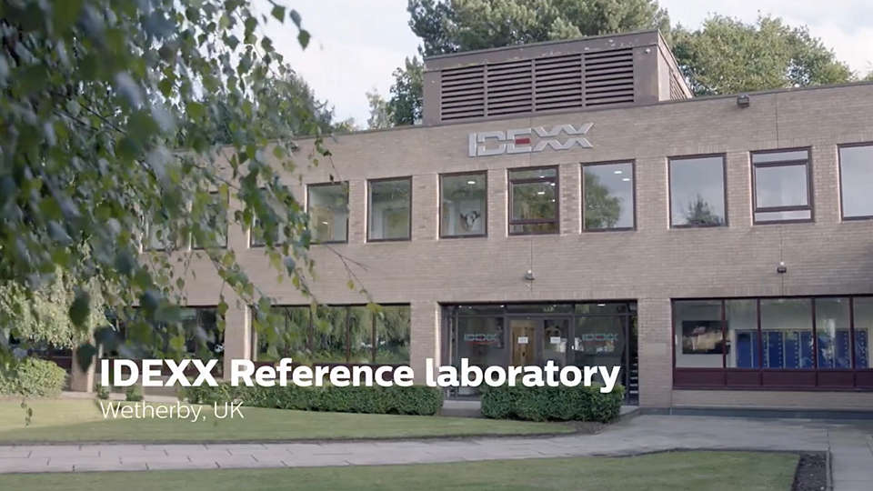 Idexx reference laboratories' global digital pathology network