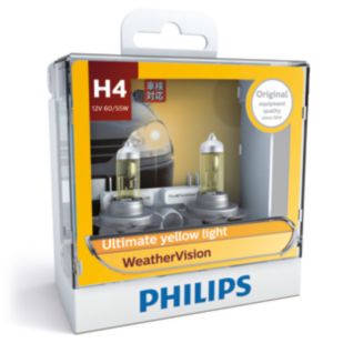 WeatherVision