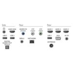 Beleza e inteligência