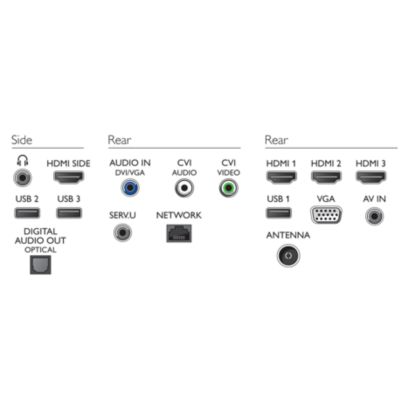 Beleza e inteligência