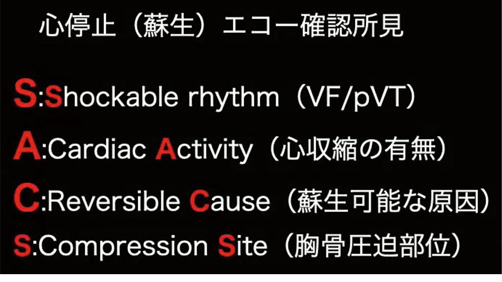 図６： 心停止（蘇生）
エコー確認所見
