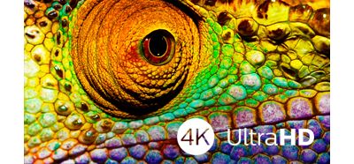 4K UHD brings your TV experience to a whole new level