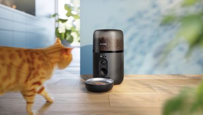 Philips Pet Series Intelligent Pet Feeder with Camera 5000 Series PAW5320/02 in a home setting with a cat approaching the bowl