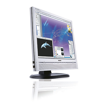 190P6ES/00 Brilliance LCD monitor