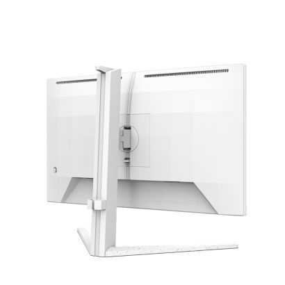 Fast IPS Gaming monitor