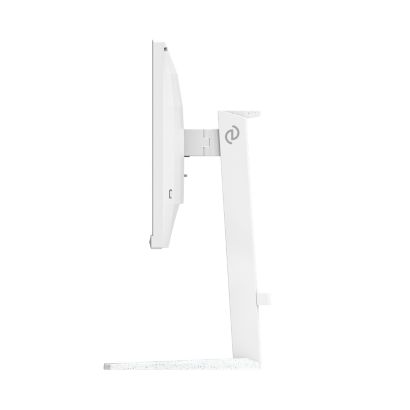Fast IPS Gaming monitor
