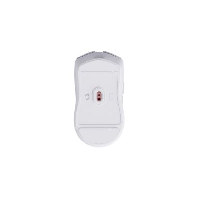 Evnia 7000 Series