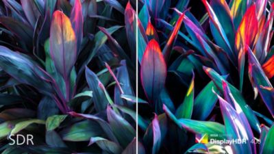 Daha gerçekçi ve etkileyici görseller için DisplayHDR 400