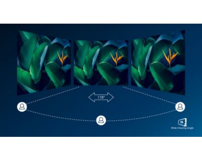 VA-Display