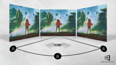 IPS LED 광시야각 기술로 이미지 및 색 정확성 보장