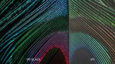IPS Black：提供 4K 清晰度精细色彩表达