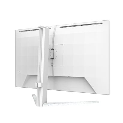 Fast IPS Gaming monitor