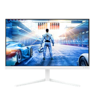 Fast IPS Gaming monitor
