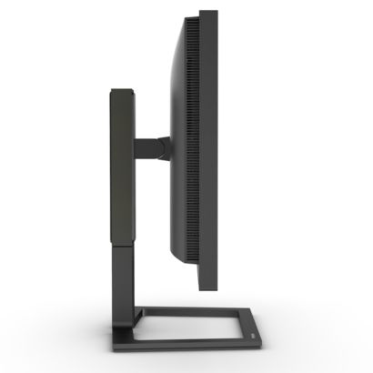 Professional Monitor