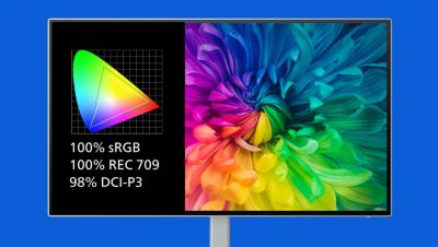 专业色彩标准 100% sRGB，100% REC 709，98% DCI-P3